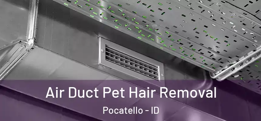 Air Duct Pet Hair Removal Pocatello - ID
