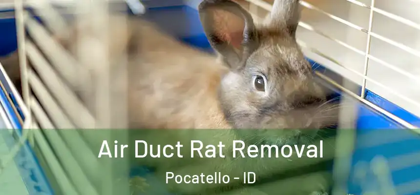 Air Duct Rat Removal Pocatello - ID