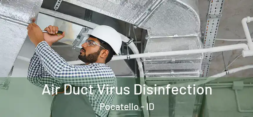  Air Duct Virus Disinfection Pocatello - ID