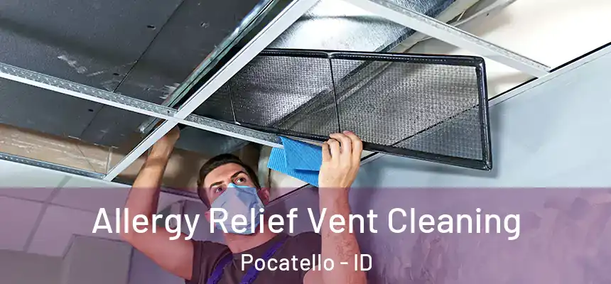 Allergy Relief Vent Cleaning Pocatello - ID