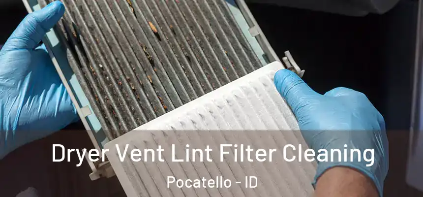  Dryer Vent Lint Filter Cleaning Pocatello - ID