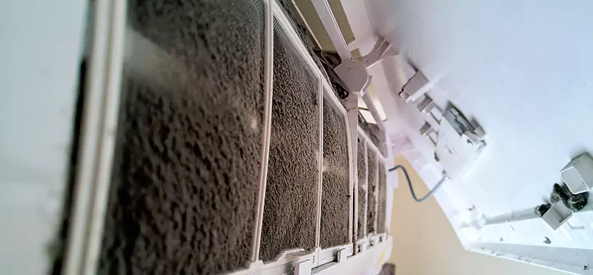 Preventive Air Duct Bacteria Removal in Pocatello