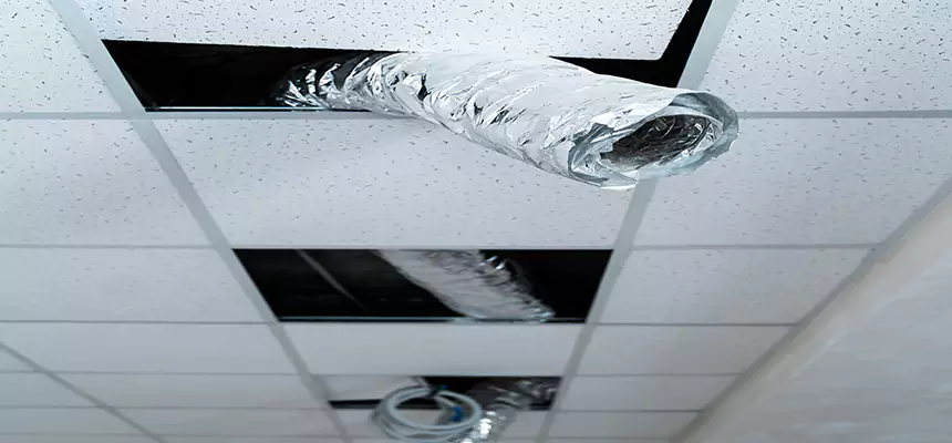 Our Air Duct Pet Hair Removal Services in Pocatello, ID