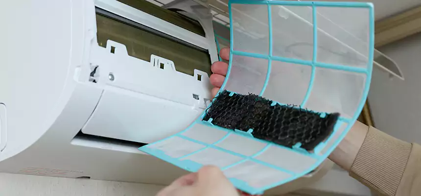 Gentle Ductwork Odor-Control Pet Dander Duct Cleaning in Pocatello, ID