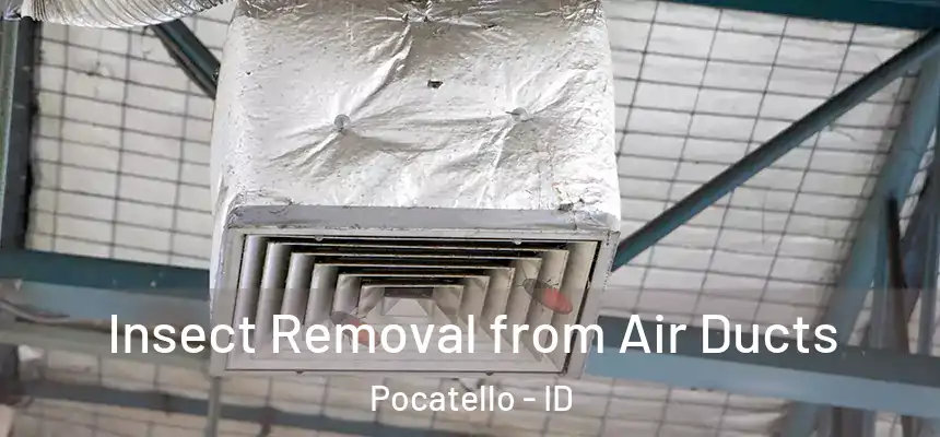Insect Removal from Air Ducts Pocatello - ID