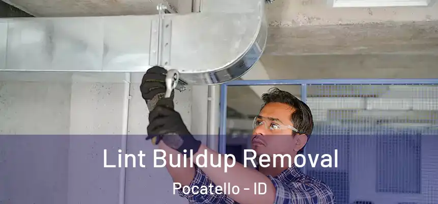  Lint Buildup Removal Pocatello - ID