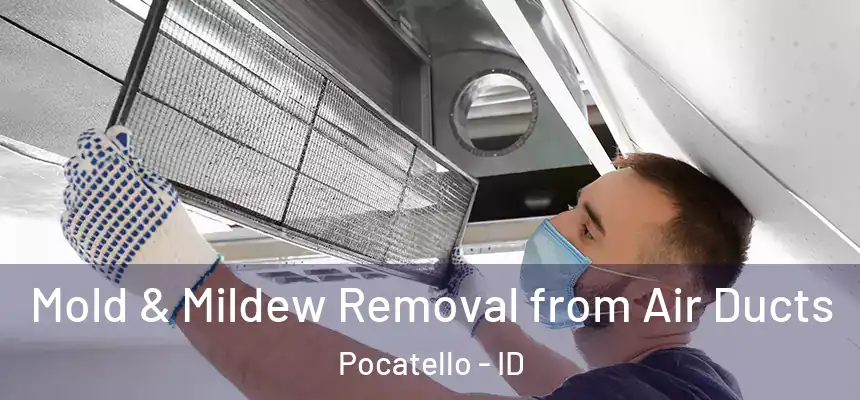  Mold & Mildew Removal from Air Ducts Pocatello - ID