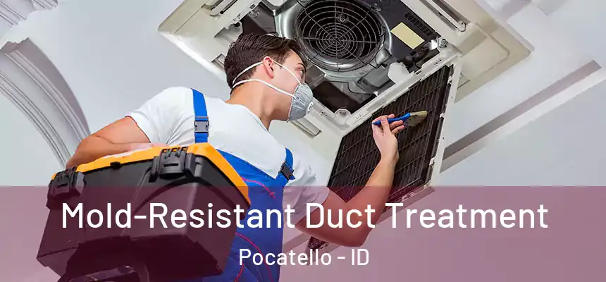  Mold-Resistant Duct Treatment Pocatello - ID