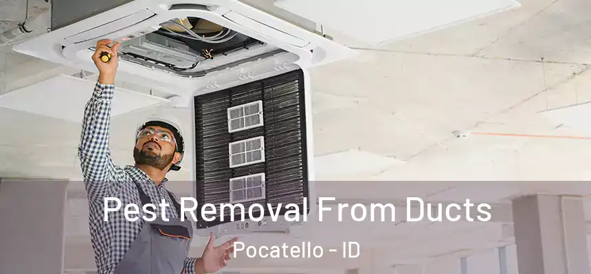  Pest Removal From Ducts Pocatello - ID