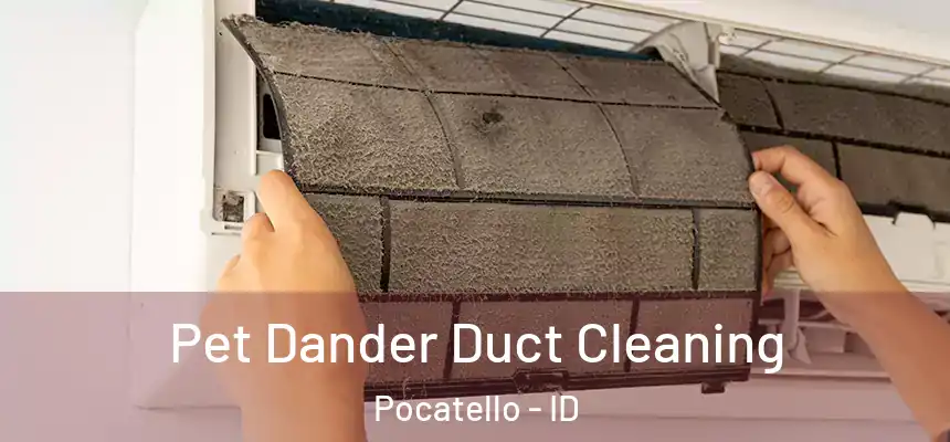  Pet Dander Duct Cleaning Pocatello - ID