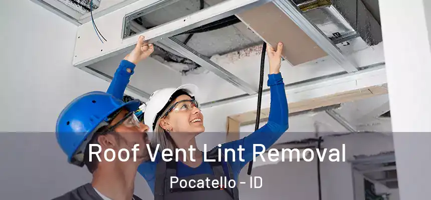  Roof Vent Lint Removal Pocatello - ID