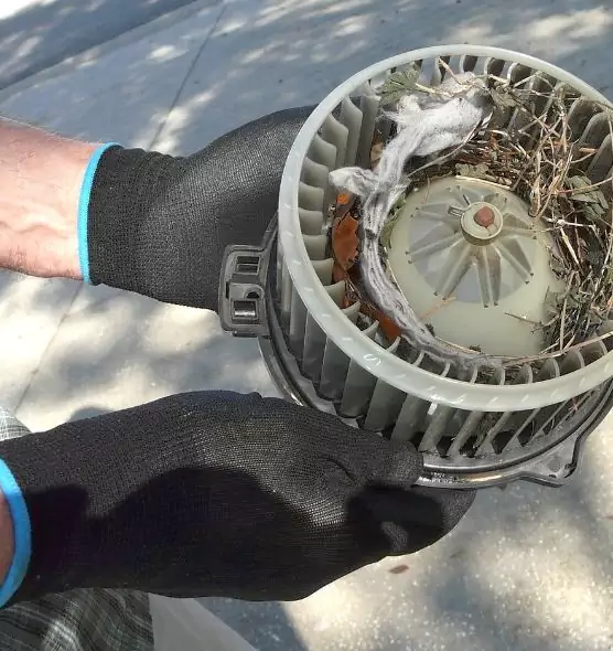 About Air Duct Mice Removal in Pocatello, ID