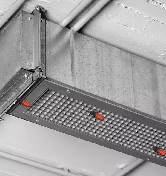 Affordable Insect Removal from Air Ducts in Pocatello, ID