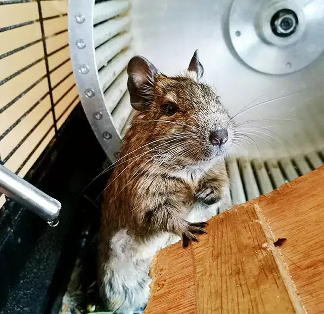 Why Homeowners & Businesses Trust Us Pocatello, ID